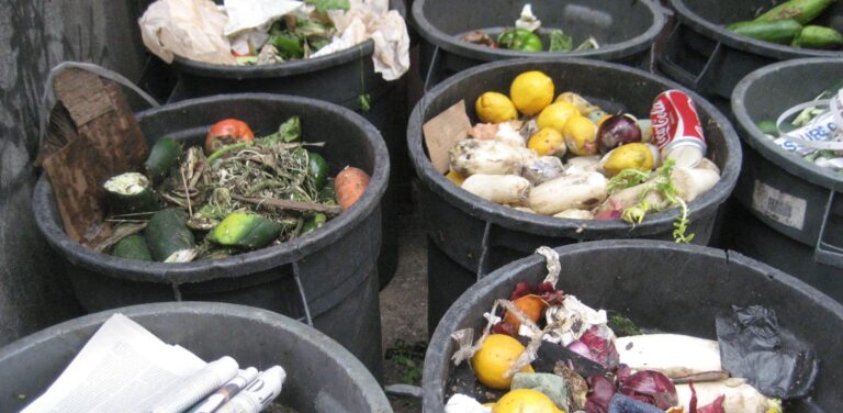 Food20waste1 768x376