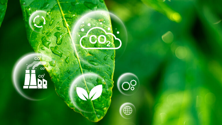 green deal environment 768x432