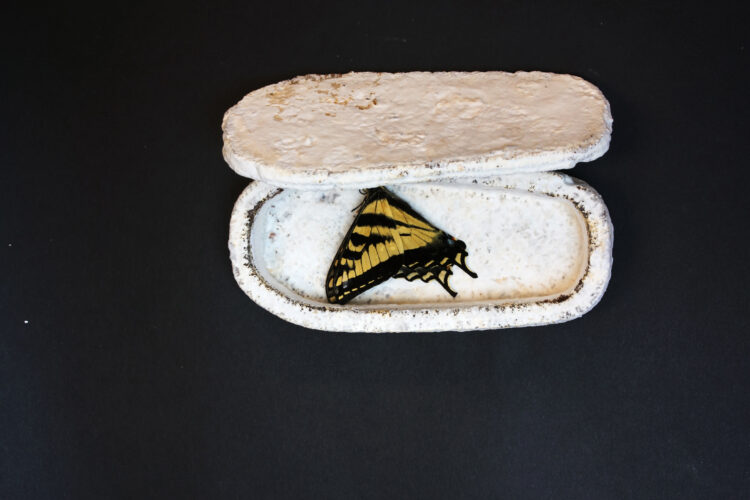 coffin 750x500 1